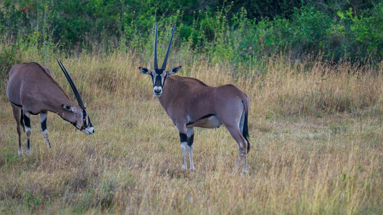 The Role of Indie Developers and the Retro Aesthetic